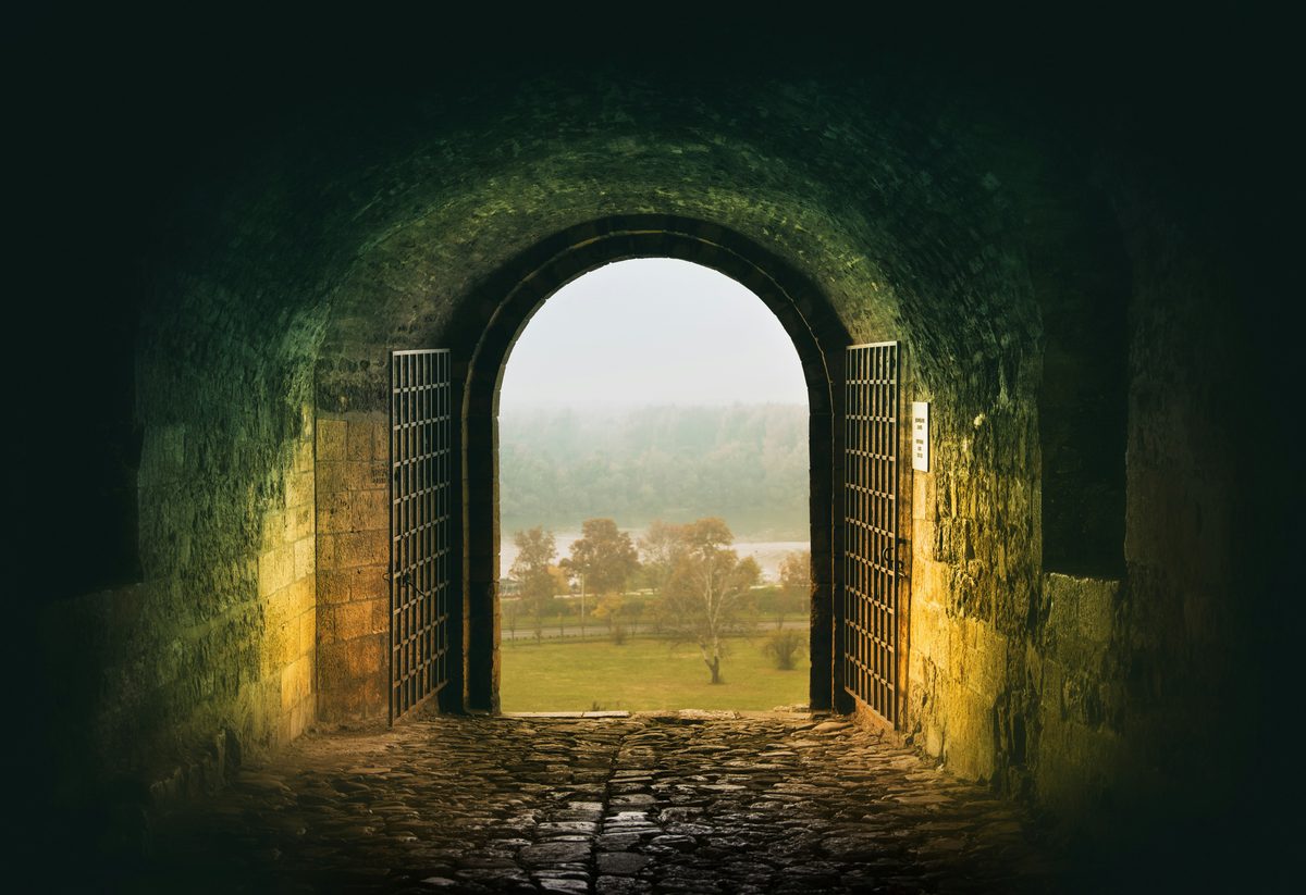 Unafraid: A career story